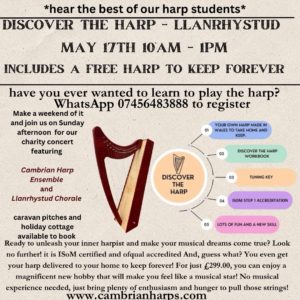 Discover the Harp Course – Llanrhystud – Saturday May 17 10am- 1pm