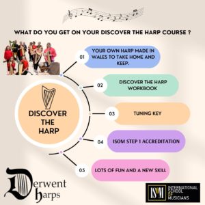 Discover The Harp in Llanrhystud 25/1/25